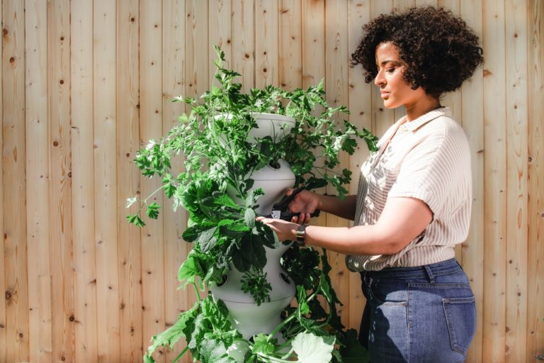 a person tending to a garden